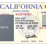 10 California Drivers Id Template Psd Images - California Drivers License Template, California inside Fake Business License Template