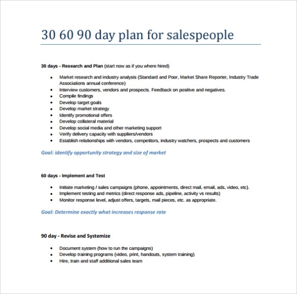 11+ 30 60 90 Day Plan Samples | Sample Templates Within Interview Business Plan Template