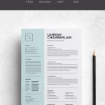 25+ Professional Ms Word Resume Templates With Simple Designs For 2019 Within Microsoft Word Resumes Templates