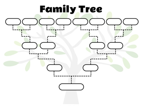 3 Generation Family Tree With Siblings Template | Hq Printable Documents Regarding 3 Generation Family Tree Template Word