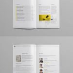 48+ Best Business Proposal Templates In Indesign Psd & Ms Word – Psd Templates Blog In Business Proposal Template Indesign