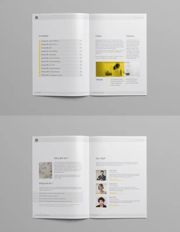 48+ Best Business Proposal Templates In Indesign Psd & Ms Word - Psd Templates Blog In Business Proposal Template Indesign