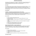 9+ Executive Summary Marketing Plan Examples – Pdf, Word | Examples Regarding Executive Summary Template For Business Plan