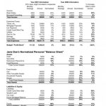 Accounting Balance Sheet Template Excel | Resume Examples Throughout Balance Sheet Template For Small Business