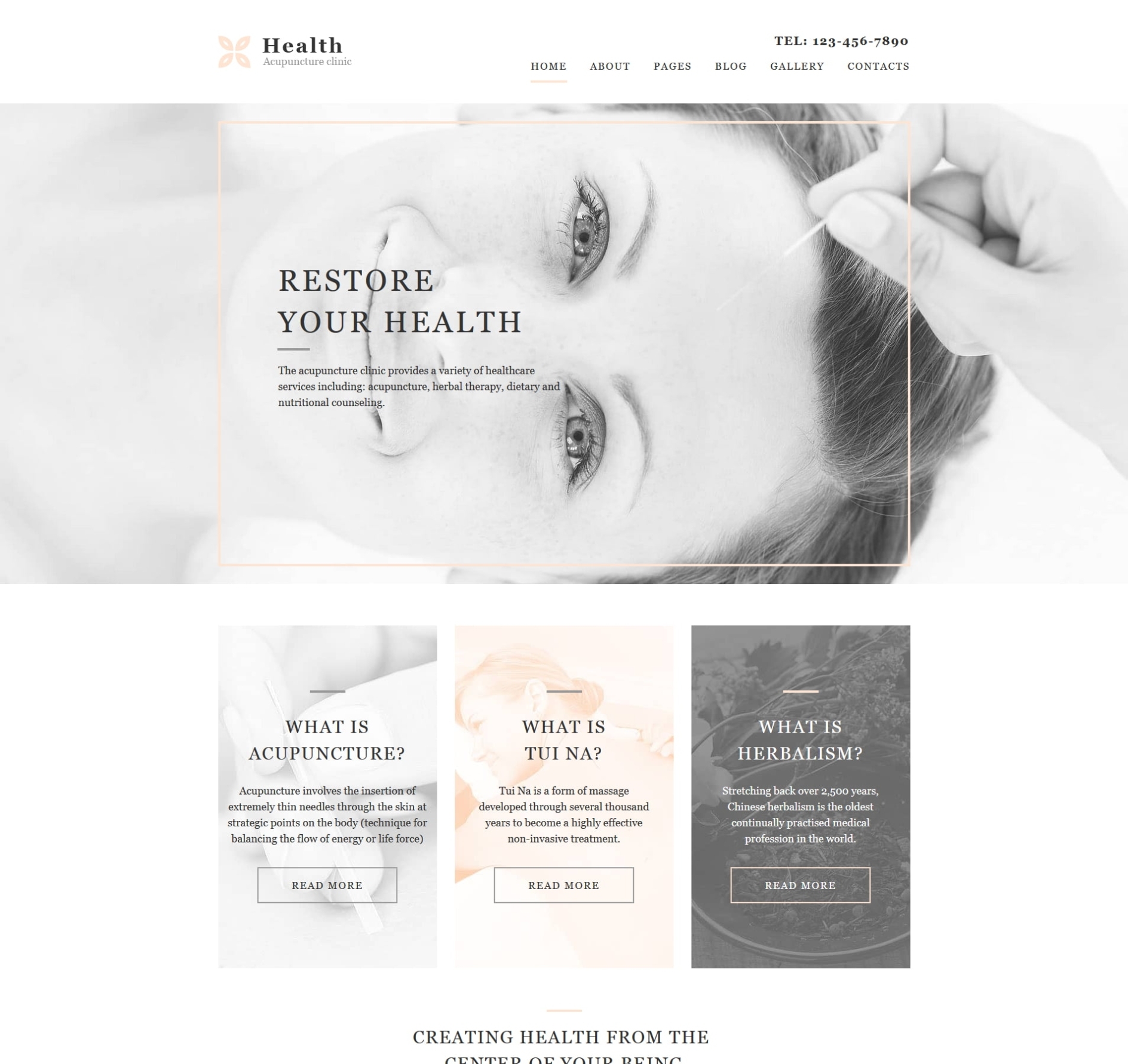 Acupuncture Website Template | Go Edit® With Acupuncture Business Plan Template