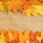 Autumn Leaves Textures Background Autumn Slides Backgrounds For Powerpoint Templates – Ppt With Regard To Free Fall Powerpoint Templates