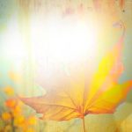 Autumn Ppt Background, Free Autumn Frame Powerpoint Templates – Slidebackground With Free Fall Powerpoint Templates