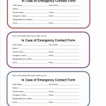 Babysitter Emergency Contact Template Fill Online Printable For Customer Information Card Template