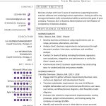 Business Analyst Resume Example & Writing Guide | Resume Genius Within Business Analyst Documents Templates