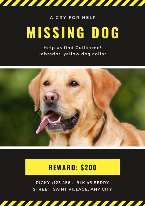 Charcoal And Yellow Missing Pet Poster – Templates By Canva Within Lost Pet Flyer Template