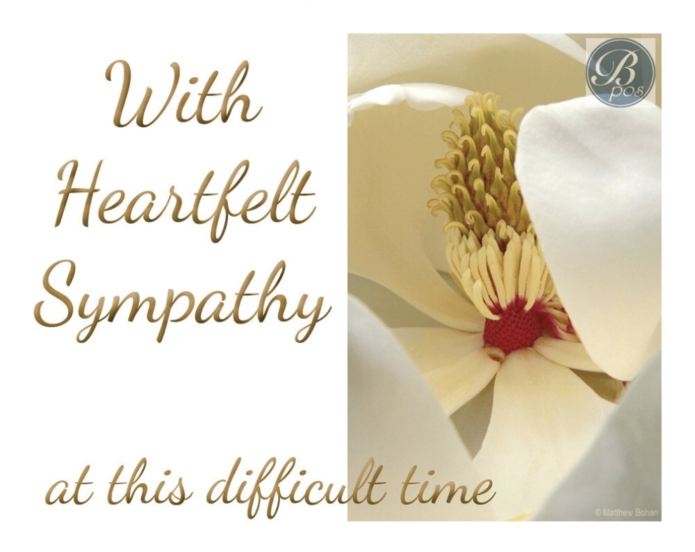 Condolence Cards Free Printable / 8 Free, Printable Sympathy Cards For Any Loss | Sympathy With Sympathy Card Template
