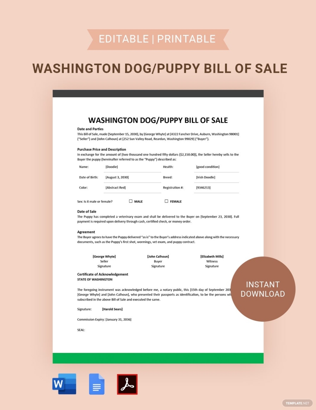 Connecticut Dog / Puppy Bill Of Sale Template – Google Docs, Word, Pdf In Puppy For Sale Flyer Templates