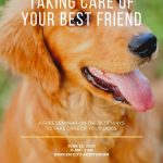 Customize 35+ Dog Walker Flyers Templates Online – Canva For Dog Walking Flyer Template Free