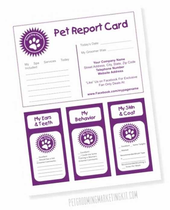 Dog Boarding Report Card Template | Peterainsworth With Dog Grooming Record Card Template