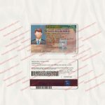 Florida Driver License Template V2 - Fake Florida Driver License with Florida Id Card Template