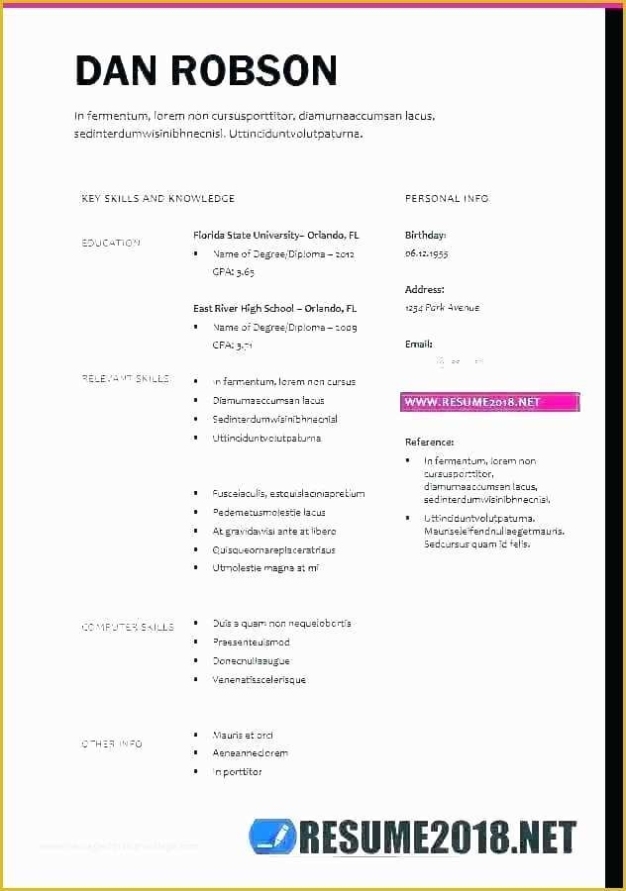 Free Combination Resume Template Word Of Bination Resume Template 9 Free Word Excel Pdf Regarding Combination Resume Template Word