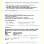 Free Combination Resume Template Word Of Microsoft Word Resume Templates 2017 Free New Resume Throughout Combination Resume Template Word