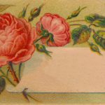 Free Image Of The Day!: Victorian Calling Card Blank With Calling Card Free Template
