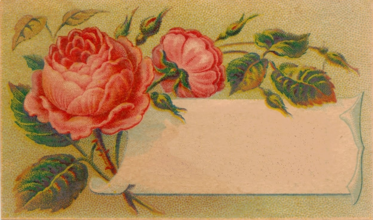 Free Image Of The Day!: Victorian Calling Card Blank With Calling Card Free Template