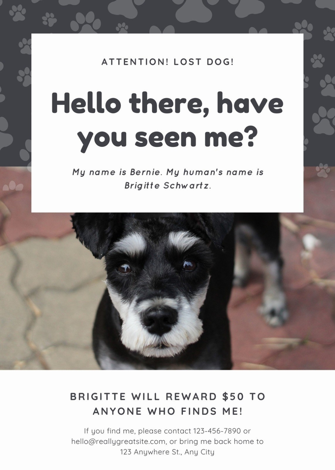 Free, Printable, Customizable Lost Dog Flyer Templates | Canva within Lost Dog Flyer Template