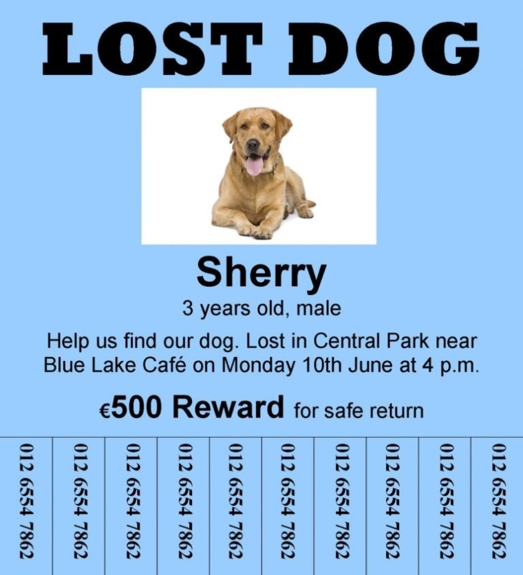 Free Reading A Lost Dog A2 Educateninja Found Dog Flyer Template – Dremelmicro Intended For Missing Dog Flyer Template