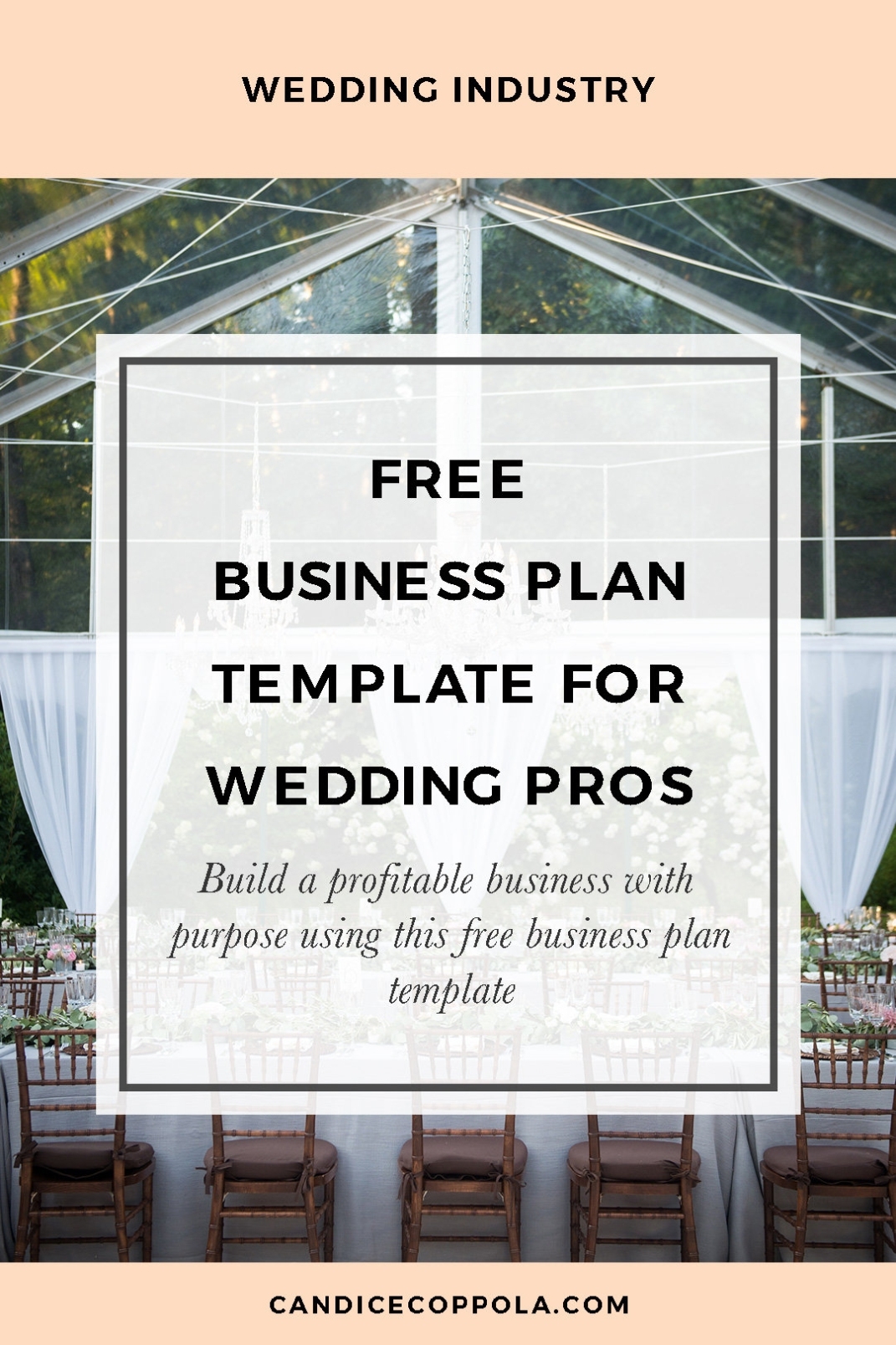 Free Wedding Planner Business Plan Template Inside Wedding Venue Business Plan Template
