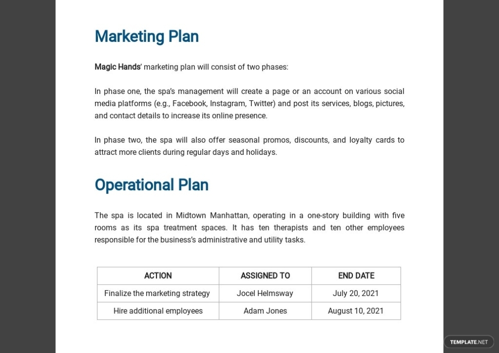 Health Spa Business Plan Template - Word (Doc) | Google Docs | Apple (Mac) Pages Pertaining To Health Care Business Plan Template