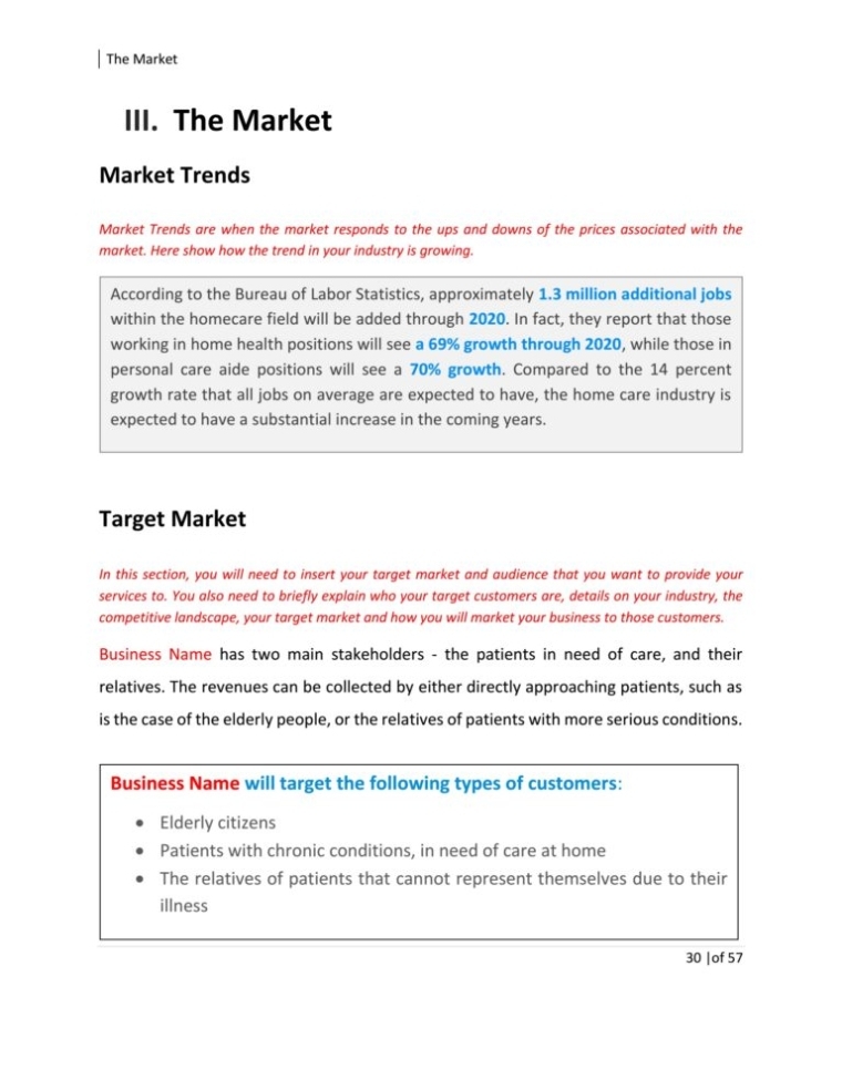Home Health Care Business Plan Template Sample Pages - Black Box Business Plans For Health Care Business Plan Template