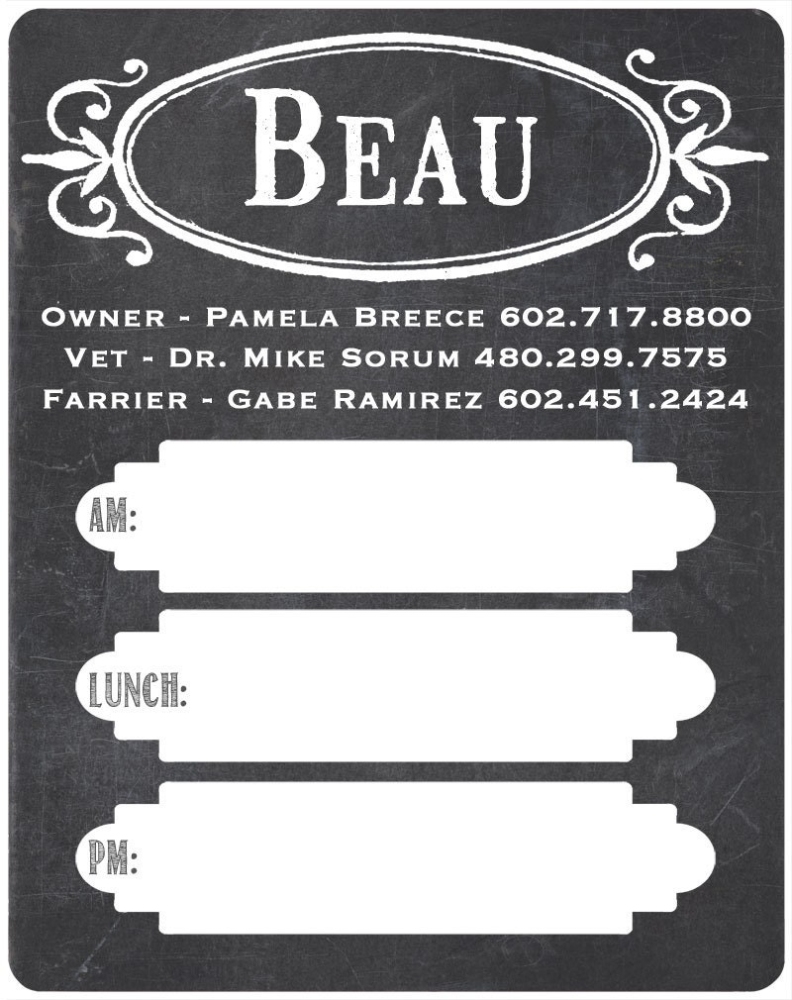 Horse Stall Card Template Pertaining To Horse Stall Card Template