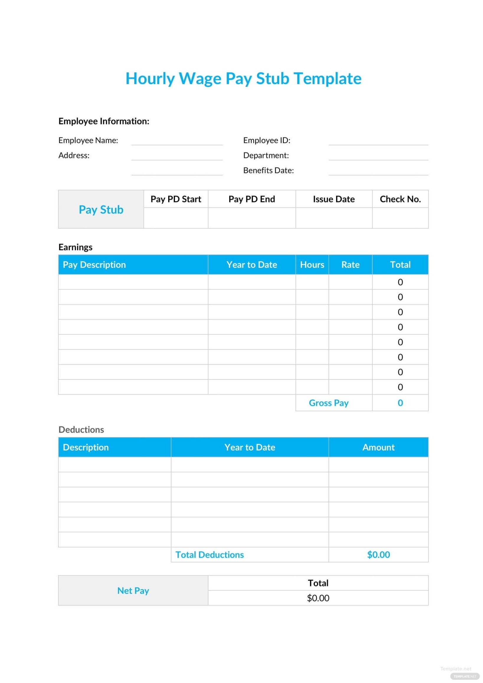 Hourly Wage Pay Stub Template In Microsoft Word, Excel | Template With Pay Stub Template Word Document