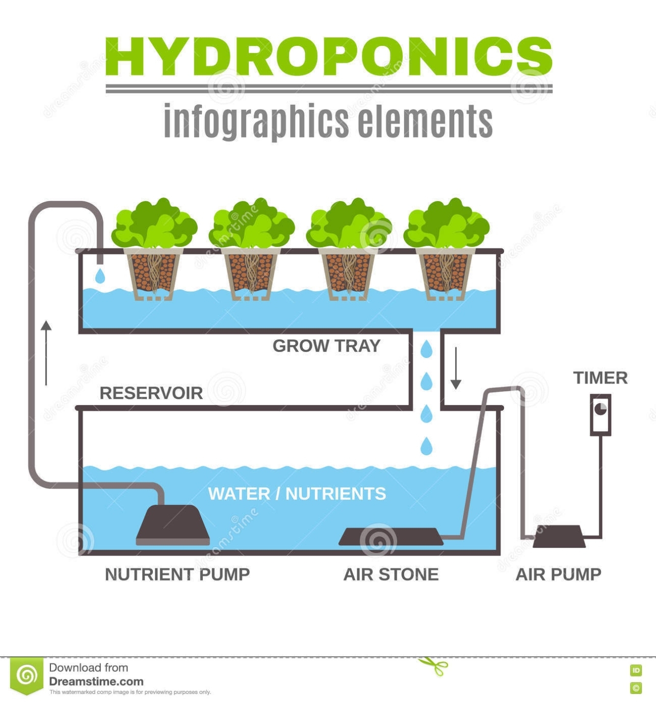 Hydroponic Design Illustration Cartoon Vector | Cartoondealer #74921209 Throughout Aquaponics Business Plan Templates