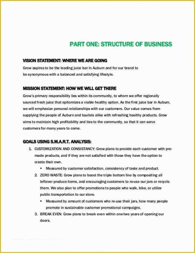 Juice Bar Business Plan Template Free Of Business Plan Vision Statement With Free Pub Business Plan Template