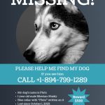 Missing Dog Flyer Template pertaining to Missing Dog Flyer Template