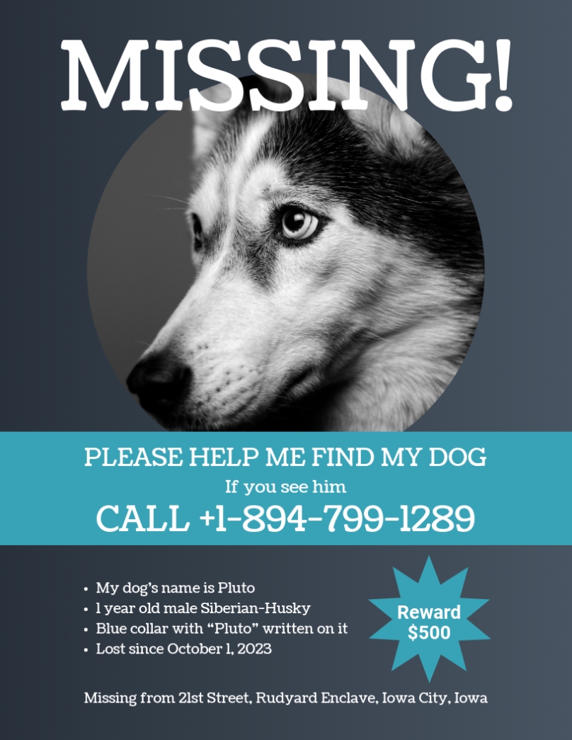 Missing Dog Flyer Template pertaining to Missing Dog Flyer Template