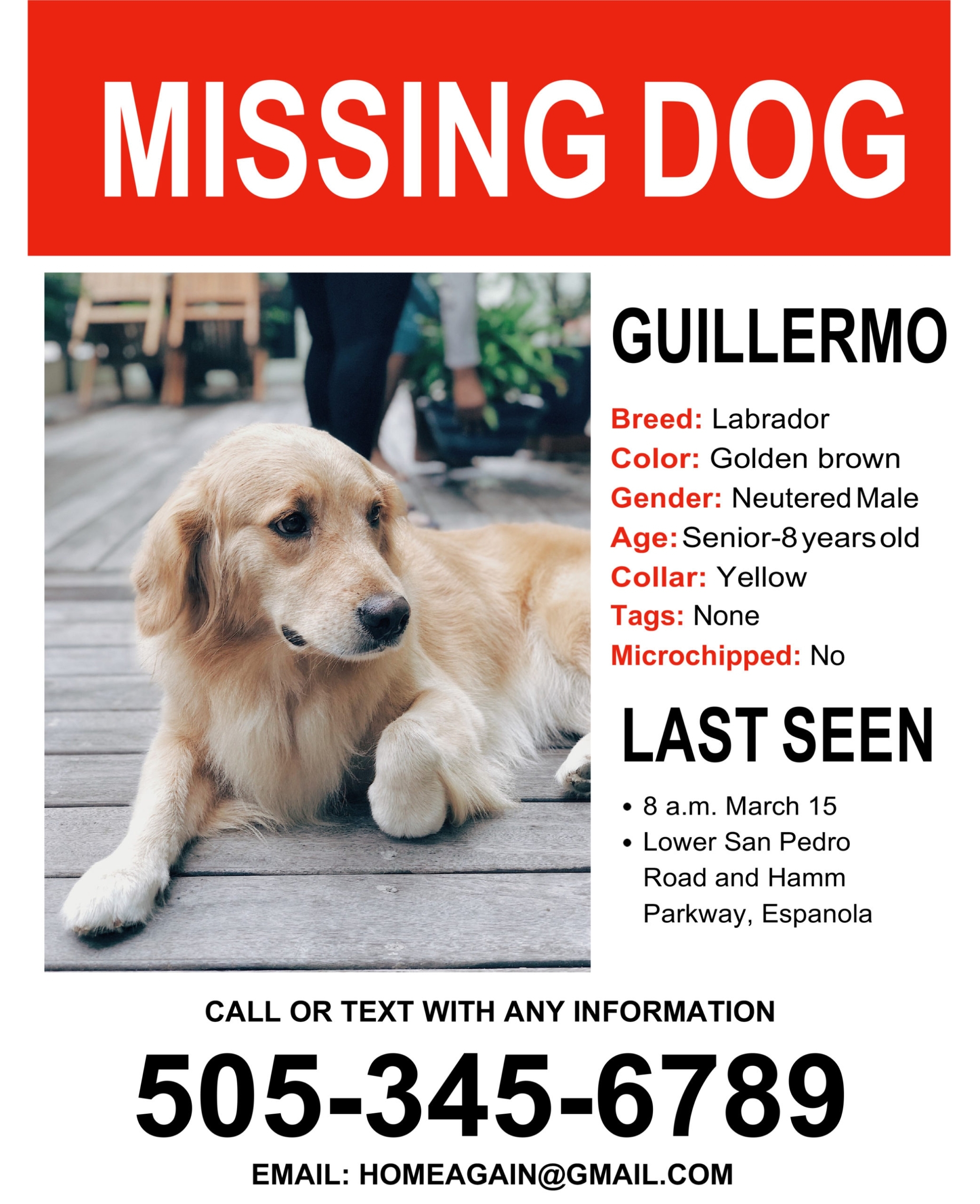Missing Pets – Española Humane Regarding Lost Pet Flyer Template