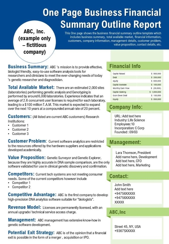One Page Business Financial Summary Outline Report Presentation Report Infographic Ppt Pdf in One Page Business Summary Template