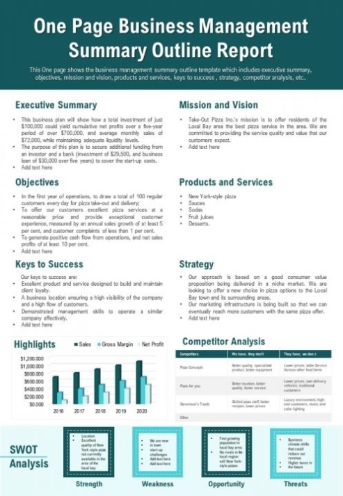 One Page Business Management Summary Outline Report Presentation Report Infographic Ppt Pdf In One Page Business Summary Template