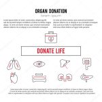 Organ Donation Template — Stock Vector © Julia Khimich #135626352 Intended For Organ Donor Card Template