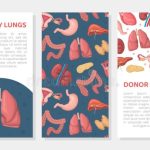 Organ Donor Card Stock Illustrations – 243 Organ Donor Card Stock Regarding Organ Donor Card Template