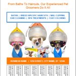 Pet Grooming Bulletin Board Flyer Templates For Bulletin Board Flyer Template