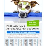 Pet Grooming Bulletin Board Flyer Templates in Bulletin Board Flyer Template
