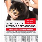 Pet Grooming Bulletin Board Flyer Templates Pertaining To Bulletin Board Flyer Template