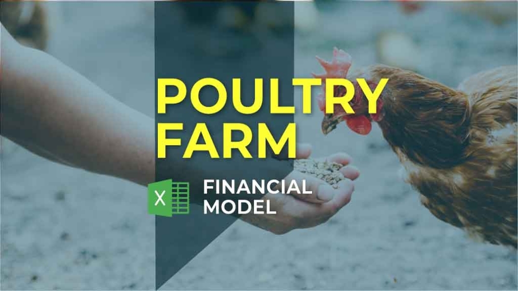 Poultry Farm Business Plan Financial Model Excel Template With Regard To Free Poultry Business Plan Template