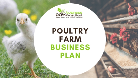 Poultry Farm – Business Plan – Oak Business Consultant With Free Poultry Business Plan Template