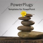 Powerpoint Template: A Number Of Zen Stones Witha Flower And Grey Background (2795) For Presentation Zen Powerpoint Templates