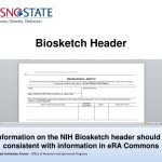 Ppt – Nih Biosketch Powerpoint Presentation, Free Download – Id:188601 Regarding Nih Biosketch Template Word