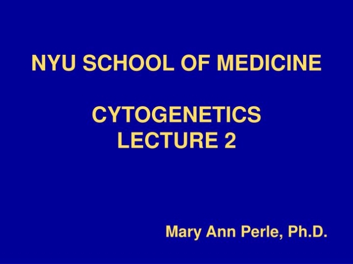 Ppt – Nyu School Of Medicine Cytogenetics Lecture 2 Powerpoint Presentation – Id:6119044 Intended For Nyu Powerpoint Template