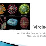 Ppt – Virology Powerpoint Presentation, Free Download – Id:9161596 In Virus Powerpoint Template Free Download