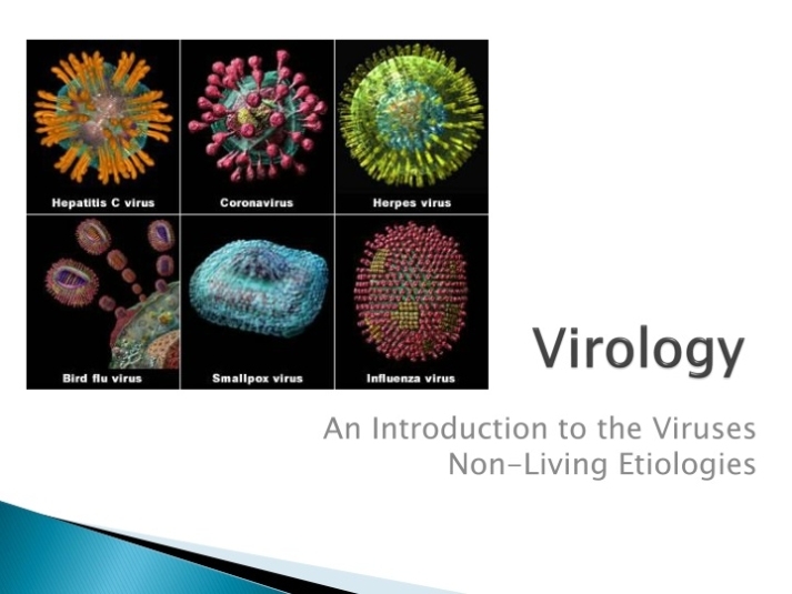 Ppt - Virology Powerpoint Presentation, Free Download - Id:9161596 In Virus Powerpoint Template Free Download