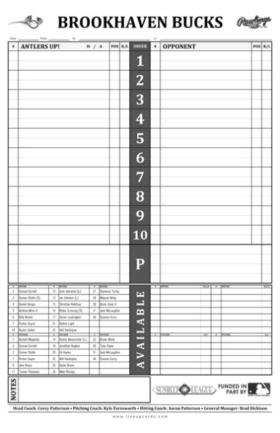 Professional Dugout Lineup Card Template - Netwise Template Within Dugout Lineup Card Template